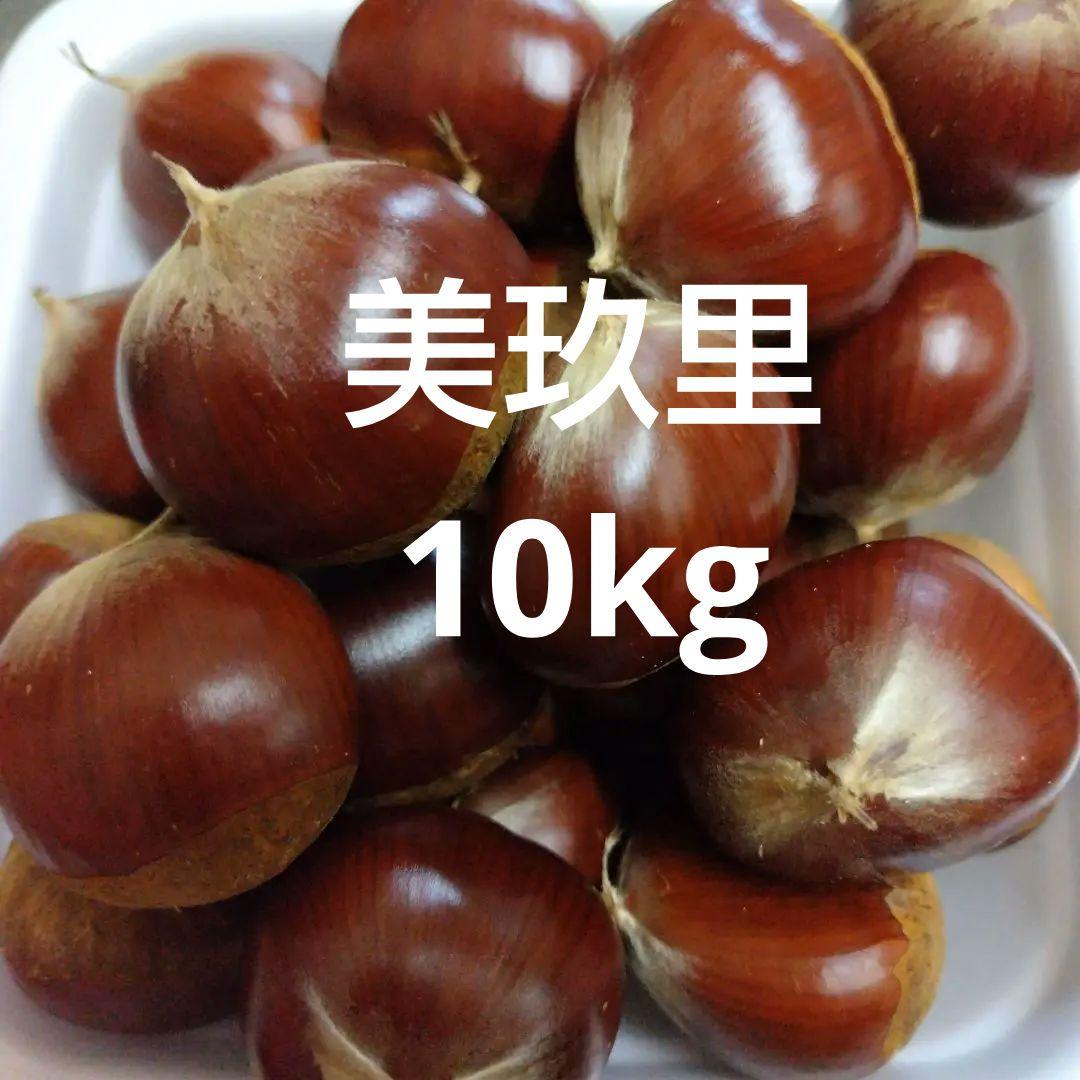 ６ 栗 美玖里 生栗 10kg