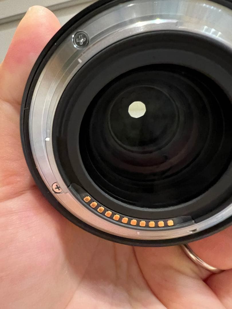 Neko Gazer NIKKOR Z 50mm f/1.8 S レンズ