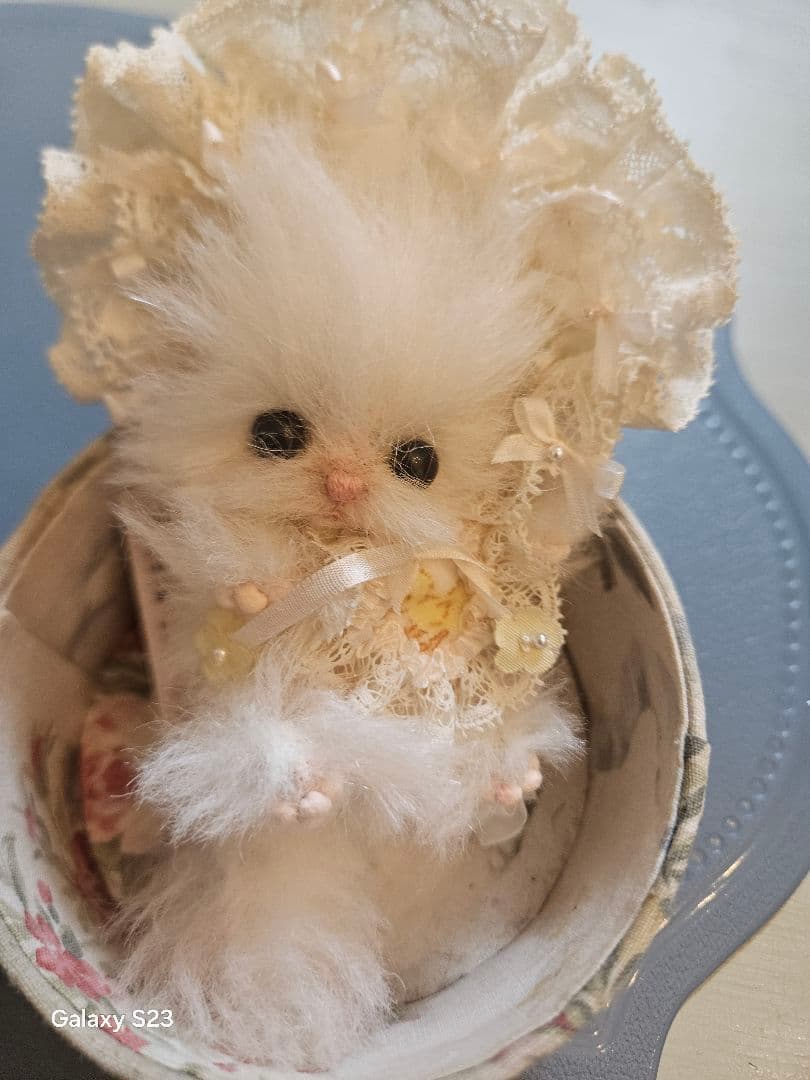 Meadow tea Yuko Hoshikawa 仔猫