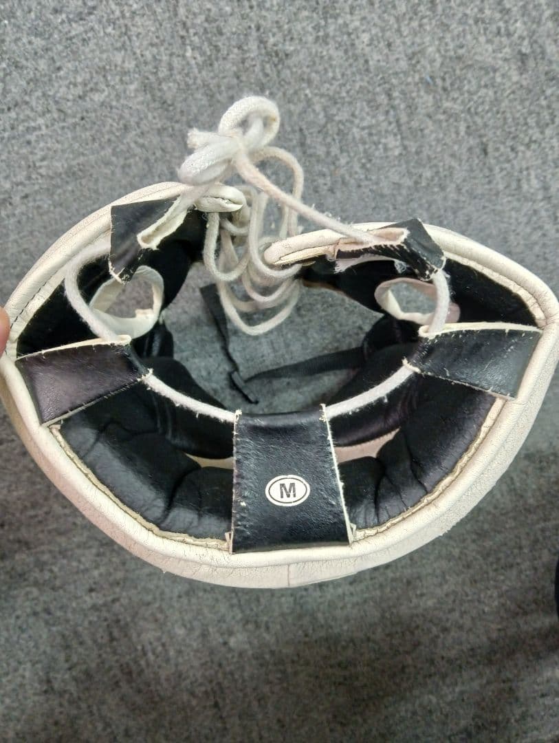 Winning ウイニング ヘッドギア FG-2900 M