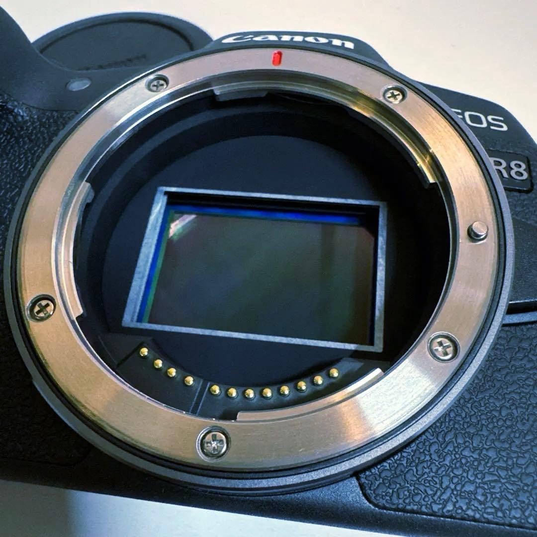 ■キャノン EOS R8ボディ■純正バッテリー2個■2025年4月購入■状態良い