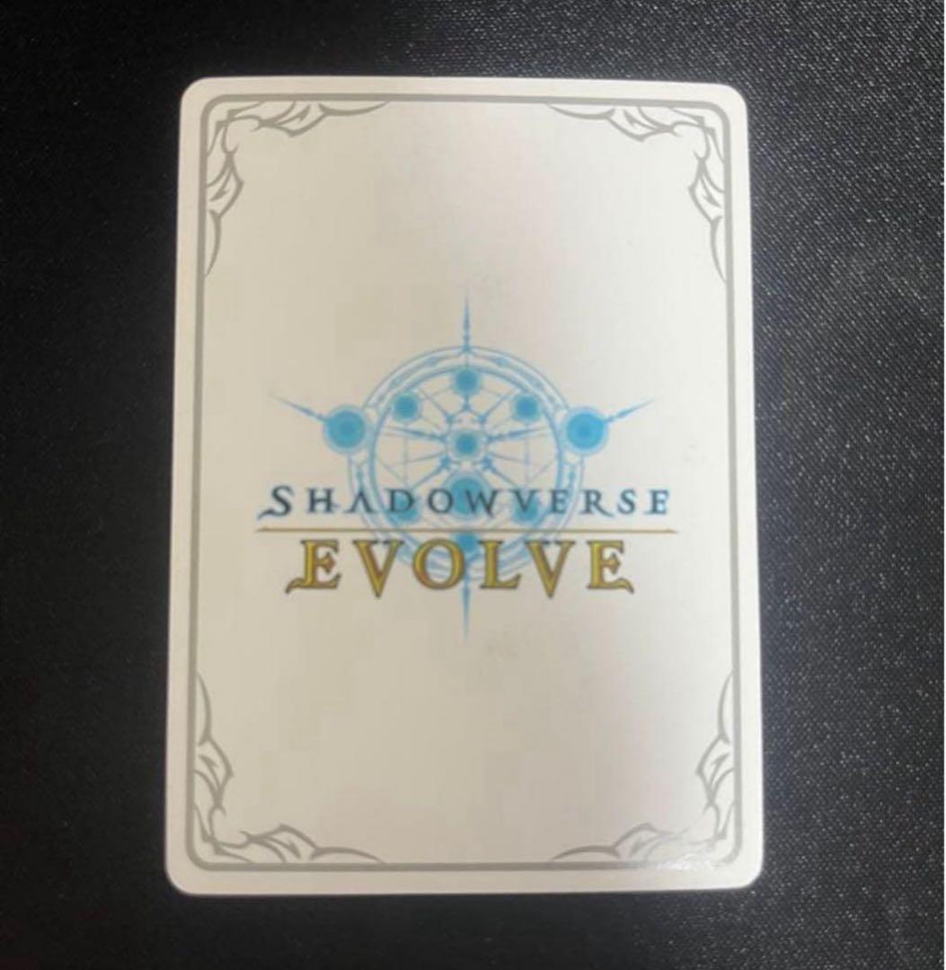 早い者勝ち‼️ リーシェナ　リーダー　ur