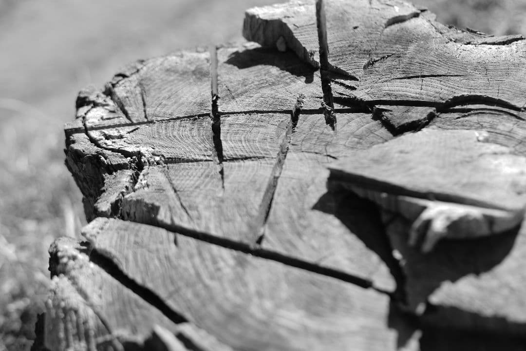 Leica Summicron  50mm F2 3rd やや難あり