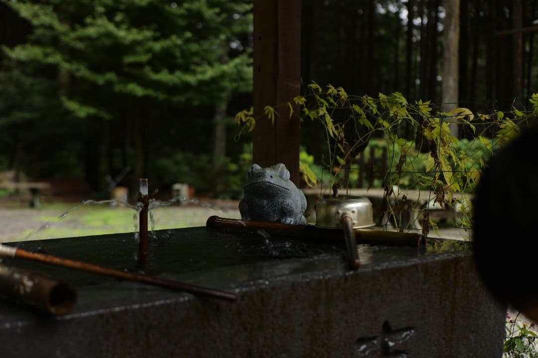 Leica Summicron  50mm F2 3rd やや難あり