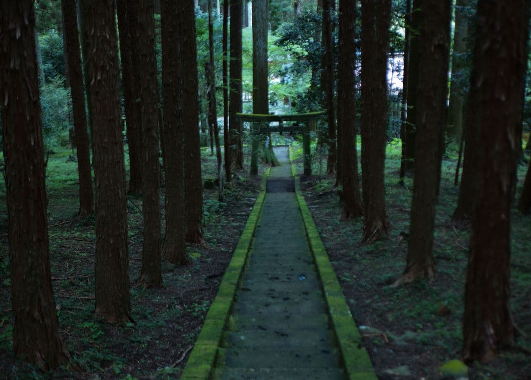 Leica Summicron  50mm F2 3rd やや難あり