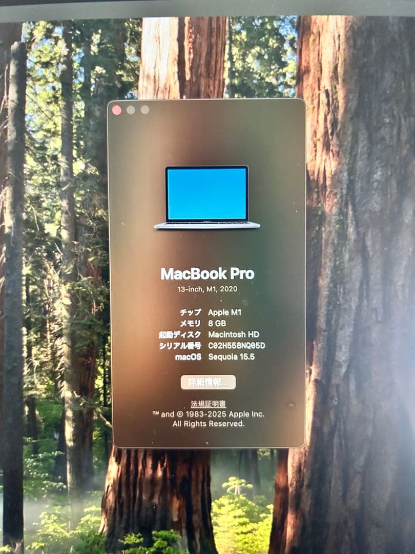 Apple MacBook Pro M1 充電器・保護ケース付き