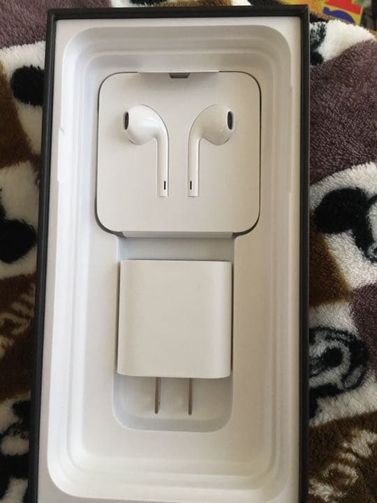 iPhone 純正 充電器