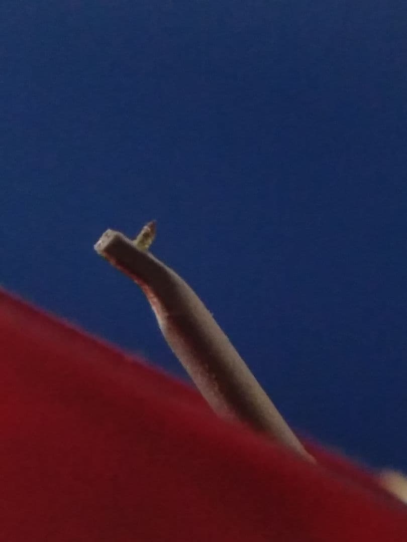 デノン 高出力MCカートリッジ DL-110 音質良好です