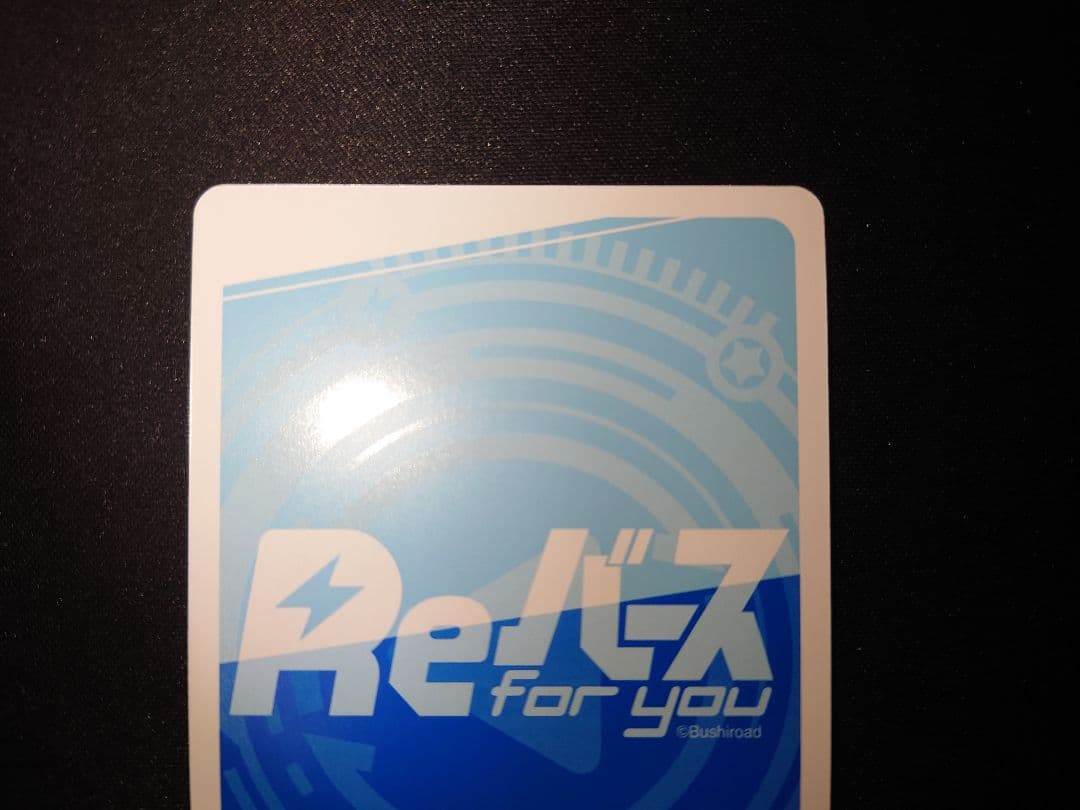 Re:ゼロから始める異世界生活 アナスタシア・ホーシン サイン PP Reバース