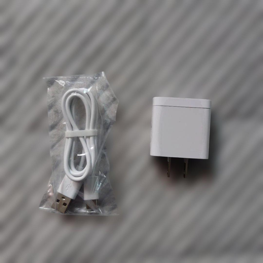 Panasonic バイタリフト ブラシEH-SP60-H 美顔器