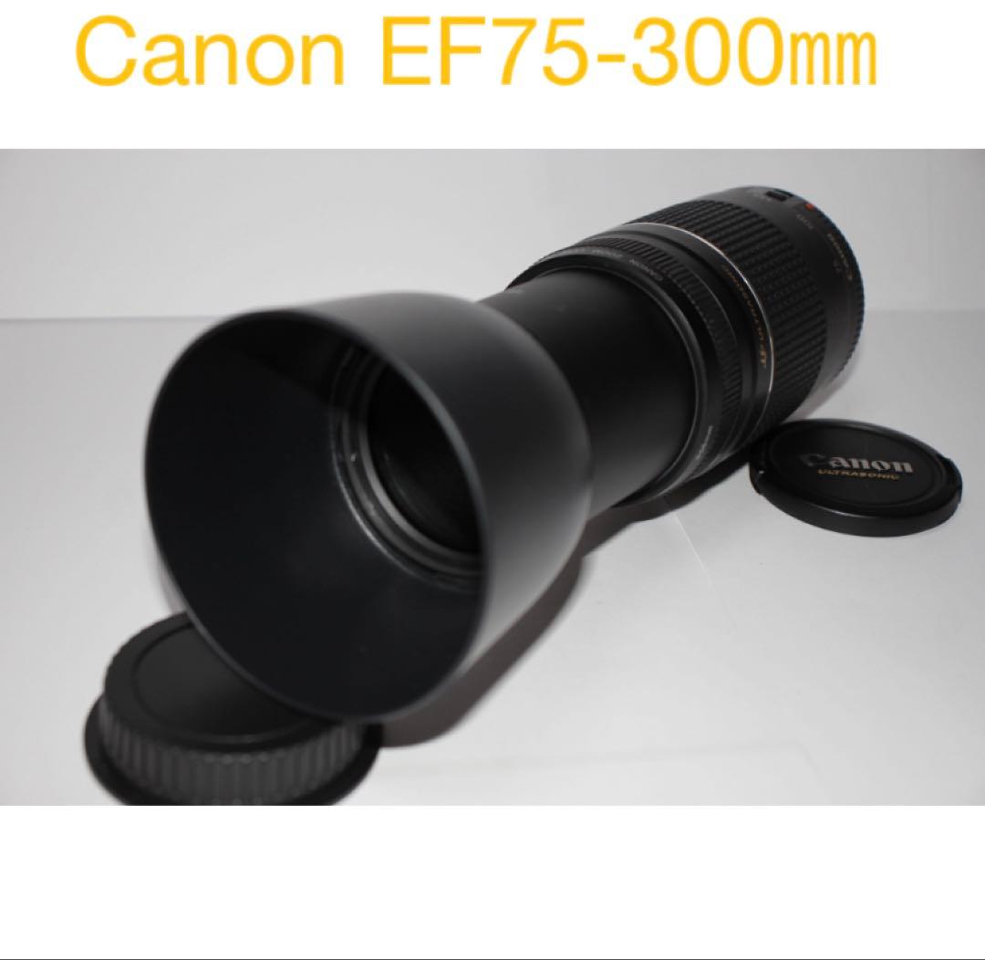 超望遠レンズ☆デジタル一眼レフカメラ☆Canon EF75-300㎜I USM