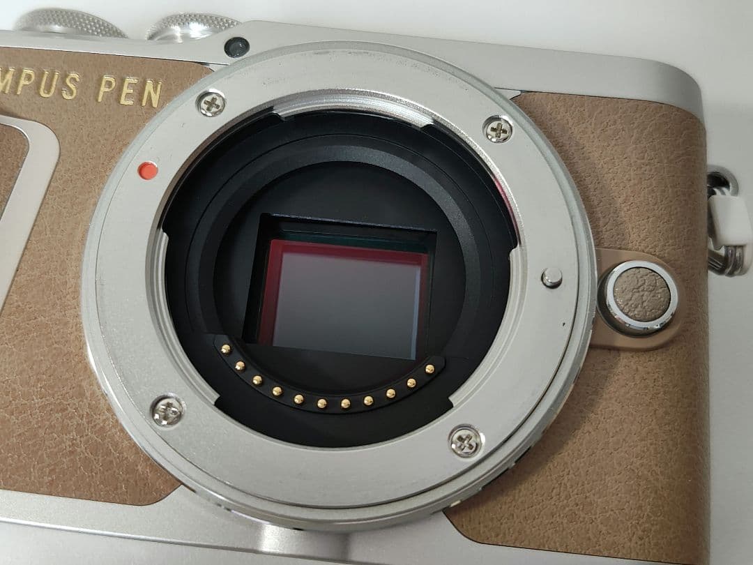 OLYMPUS ミラーレス一眼カメラ PEN E-PL9 ボディー ブラウン