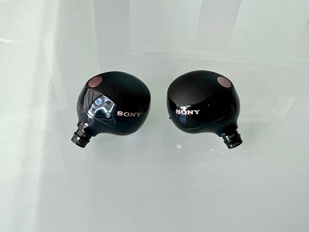 ●SONY ワイヤレスイヤホン WF-1000MX5 ブラック ケース付き