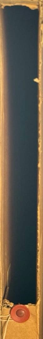 トーマス・マックナイト 「パノラモス」シルクスクリーン 8号大 保証書付 美品