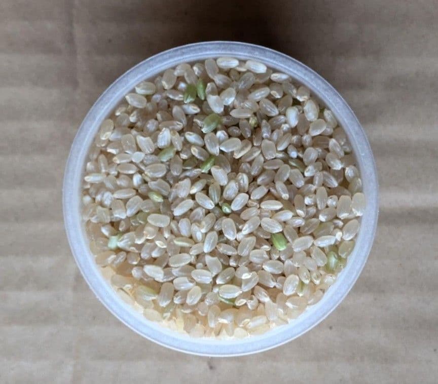 令和７ 年産 会津コシヒカリ玄米30キロ着払い