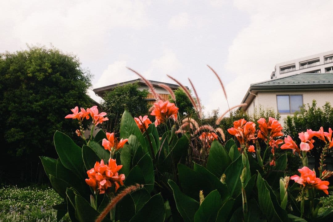 おまけ 多数　Fujifilm x100s デジタルカメラ