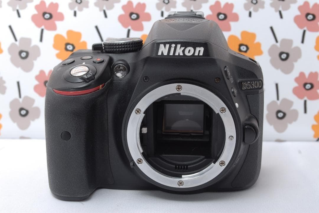 ❤Nikon D5300❤夜景撮影も◎❤Wi-Fi搭載で簡単にシェア出来る❤美品