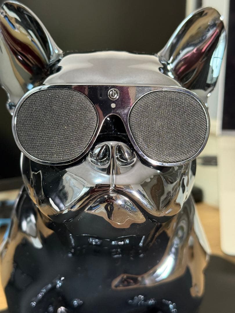 AeroBull XS1 スピーカー ELECTROPLATING SILVER