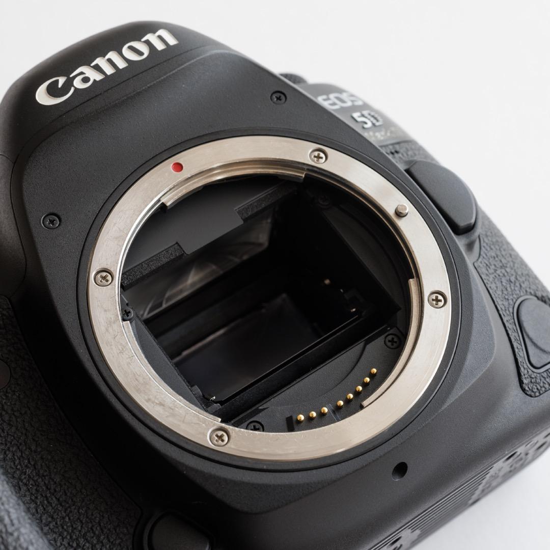 Canon EOS 5D Mark IV + SanDisk CFカード 2枚