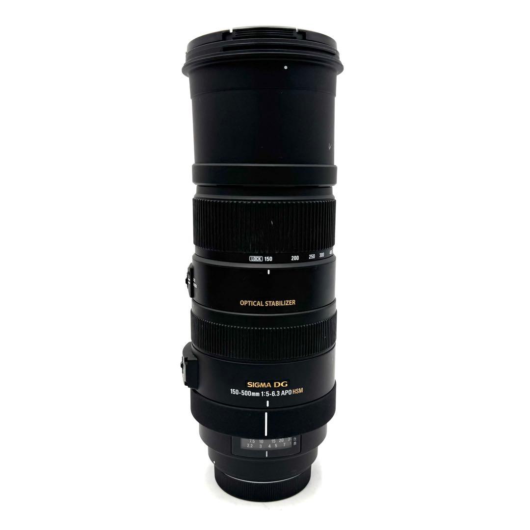 ❁大迫力❁SIGMA DG 150-500mm APO OS HSM CANON