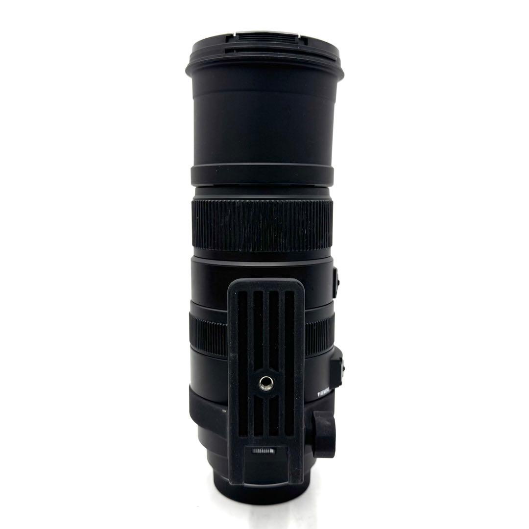 ❁大迫力❁SIGMA DG 150-500mm APO OS HSM CANON