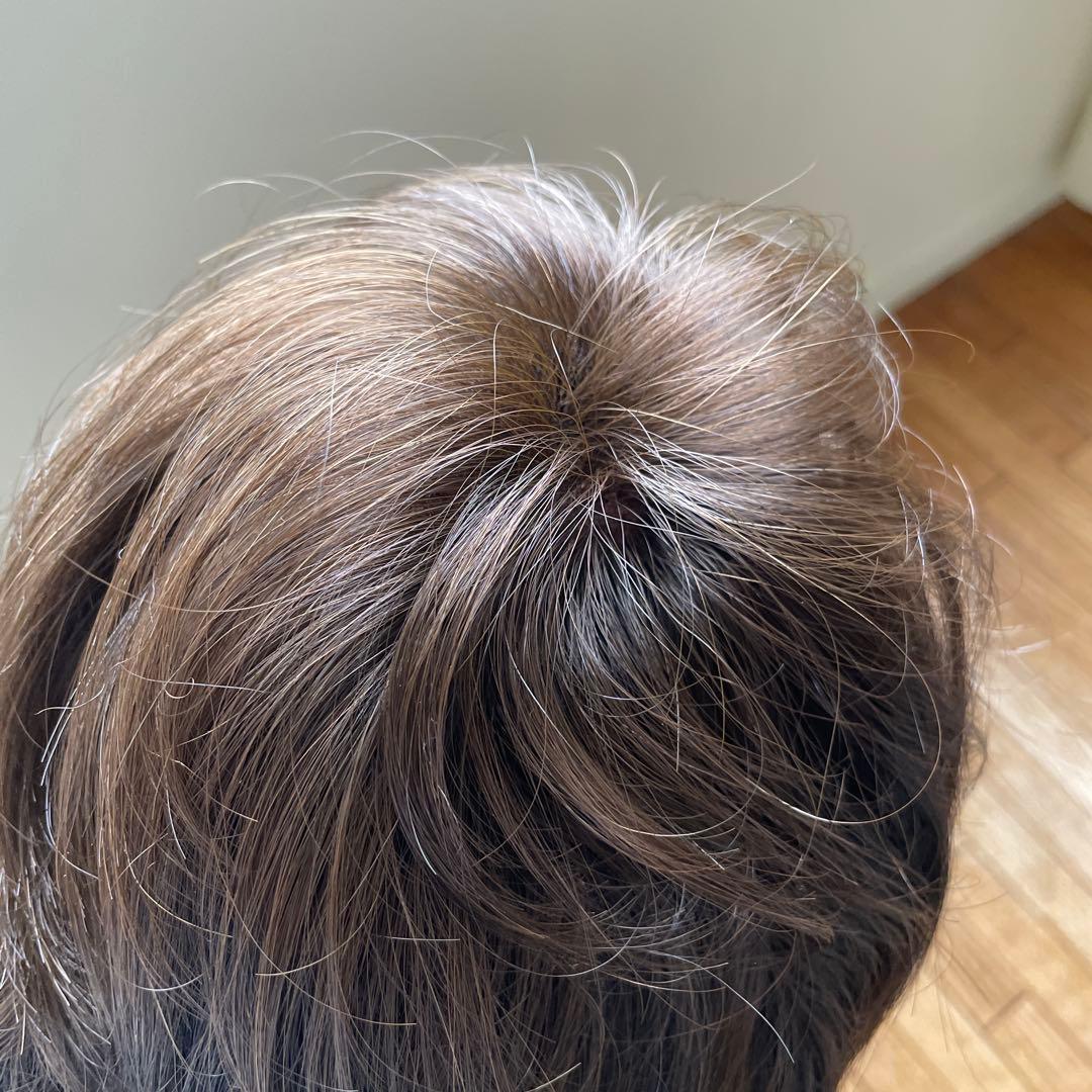 フォンテーヌレディースウィッグ新品未使用