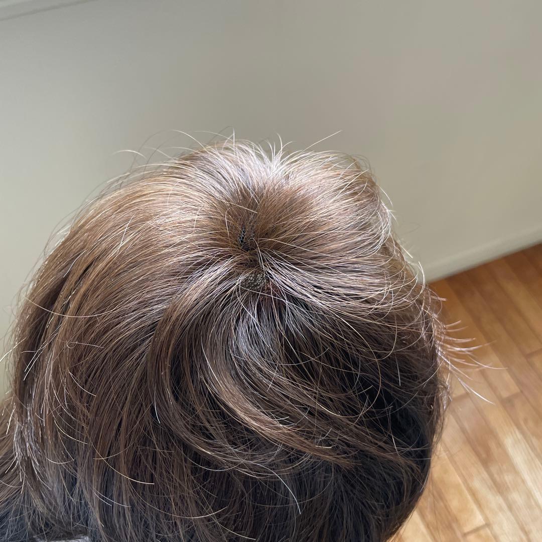 フォンテーヌレディースウィッグ新品未使用