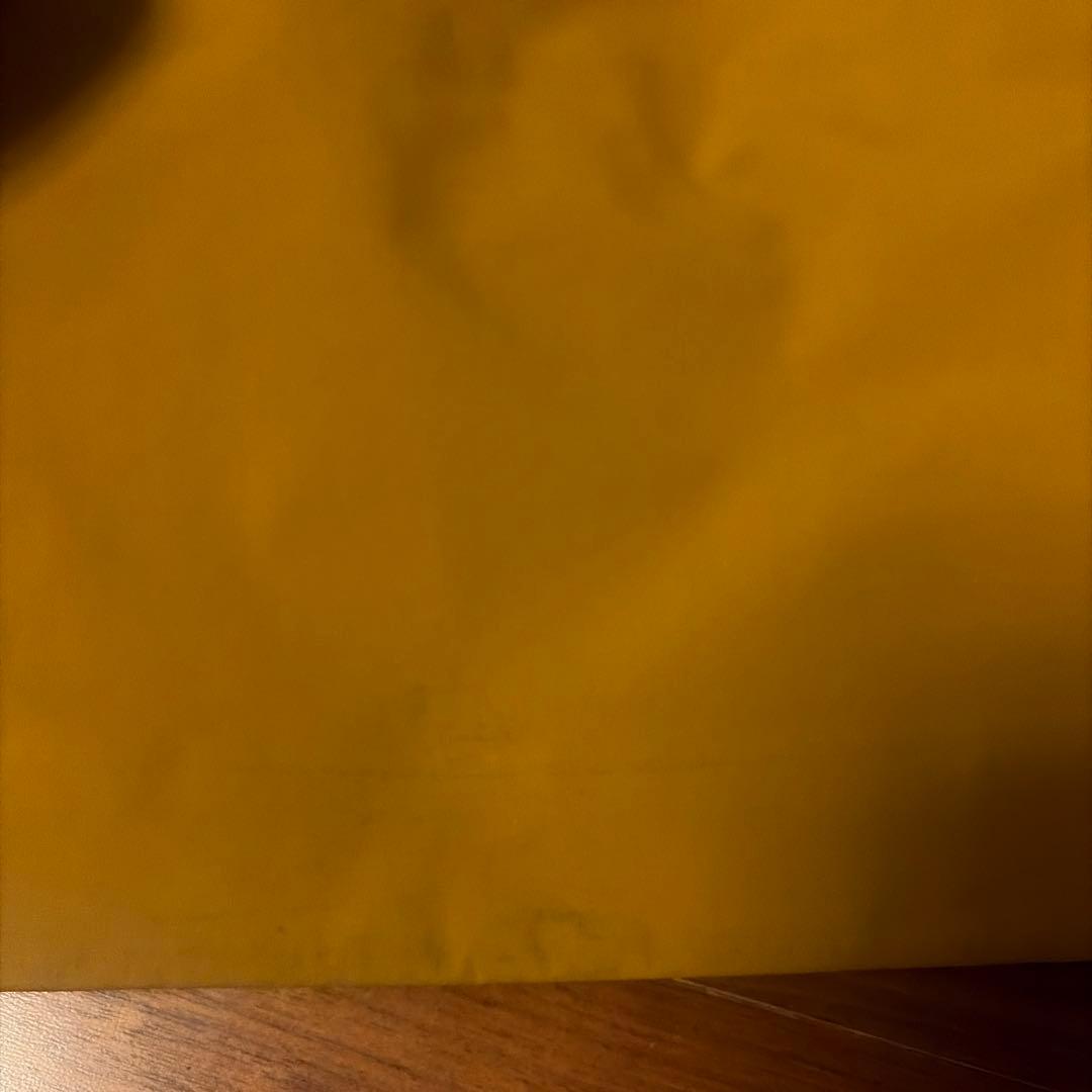 【そこそこ美品】アークテリクス　スノーボードウェア