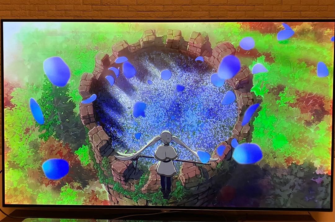 【milk2626様ご依頼分】4K有機EL55型テレビ LG OLED55B6P