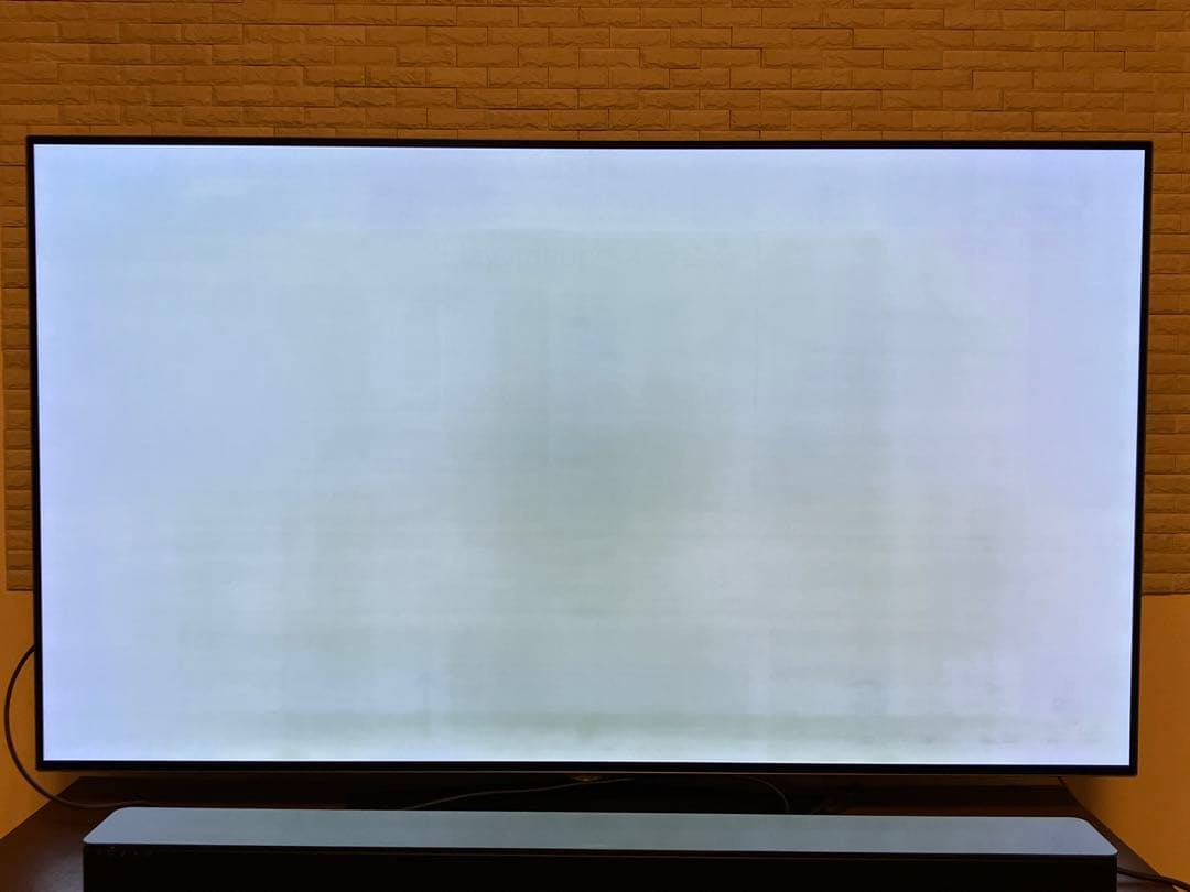 【milk2626様ご依頼分】4K有機EL55型テレビ LG OLED55B6P