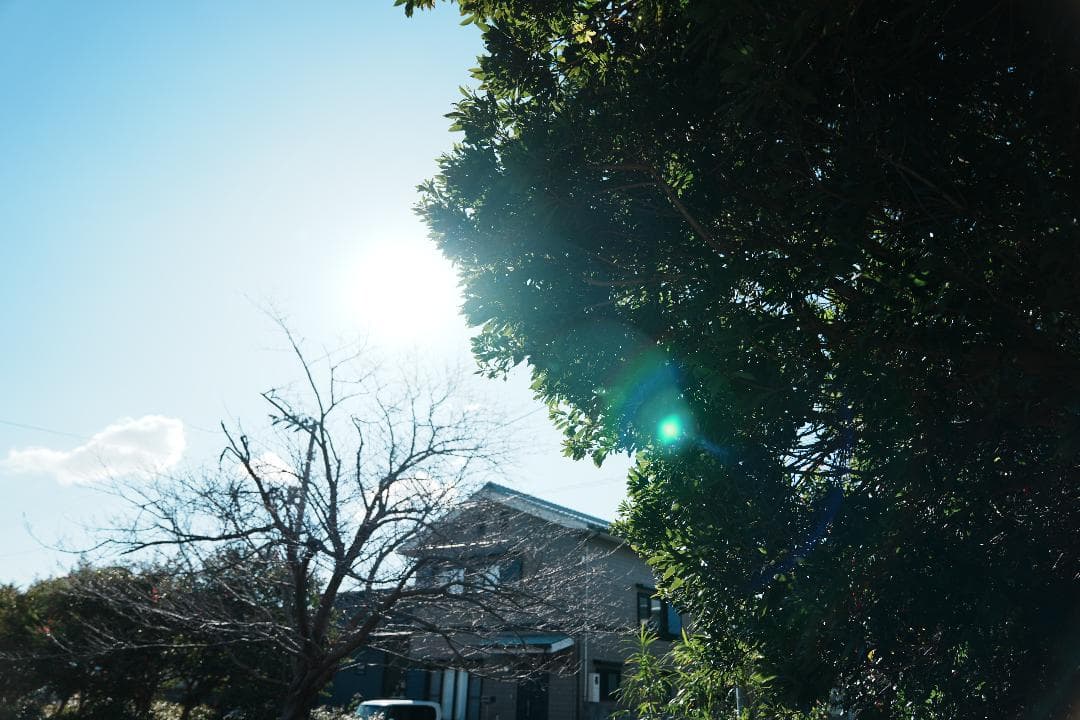 【テスト済安心】SONY SEL2470GM ソニー大三元ズーム 完品 F2.8