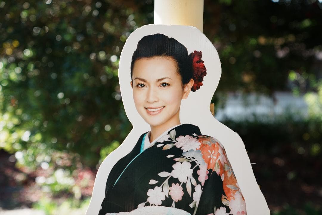 【テスト済安心】SONY SEL2470GM ソニー大三元ズーム 完品 F2.8