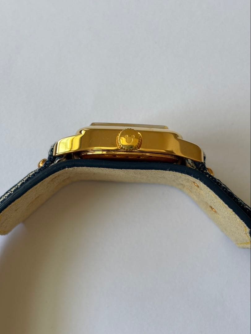 【希少】CABANEdeZUCCa×ミッキーマウス/腕時計 SEIKO