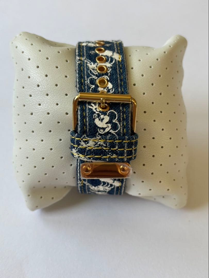 【希少】CABANEdeZUCCa×ミッキーマウス/腕時計 SEIKO