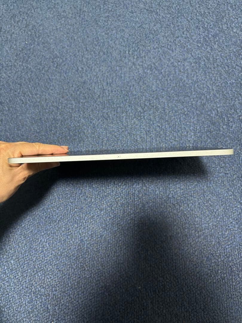 iPad本体 iPad Pro 256GB