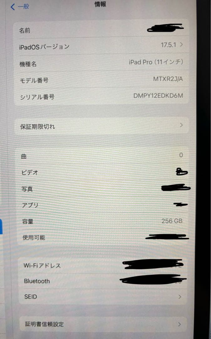 iPad本体 iPad Pro 256GB