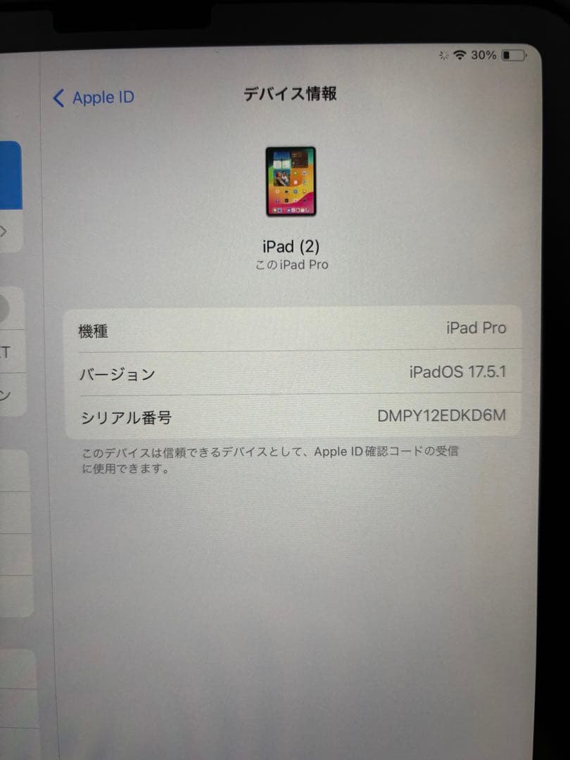 iPad本体 iPad Pro 256GB