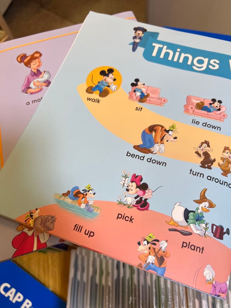 ディズニー　ワールドイングリッシュDVD