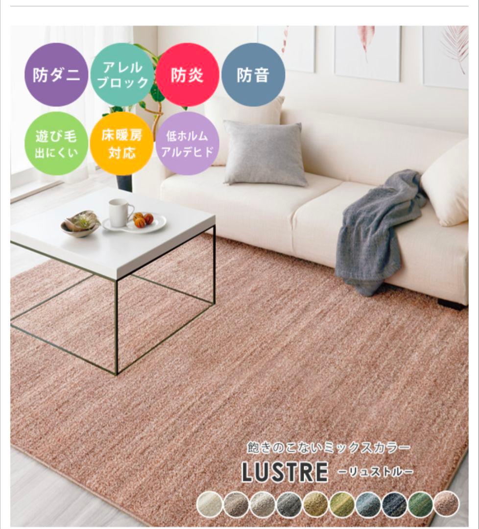 スミノエ ナイロンラグ リュストル 楕円形 140×200/防ダニ・防炎　高品質