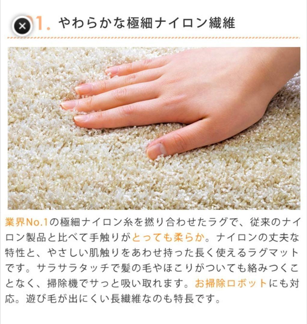 スミノエ ナイロンラグ リュストル 楕円形 140×200/防ダニ・防炎　高品質