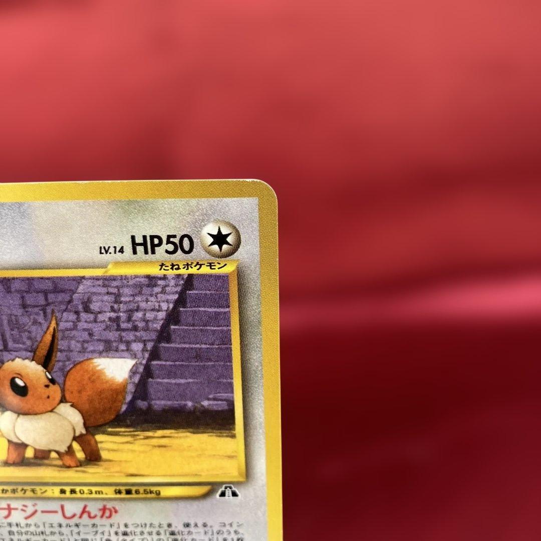 ポケモンカードネオ プレミアムファイル2