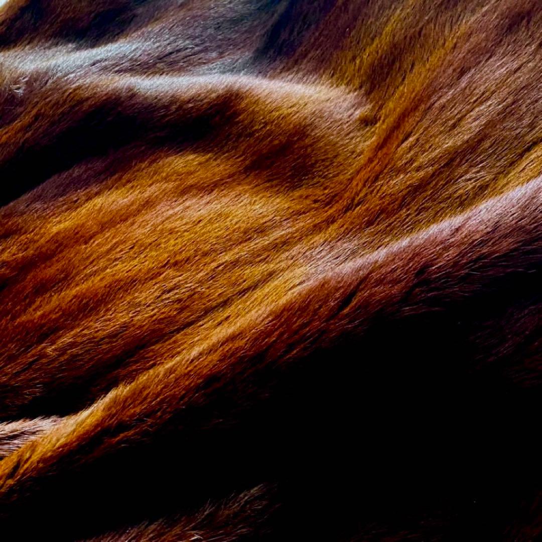 最高峰✨◆BALMAIN◆380万 仏 極上マホガニーミンクファーコート