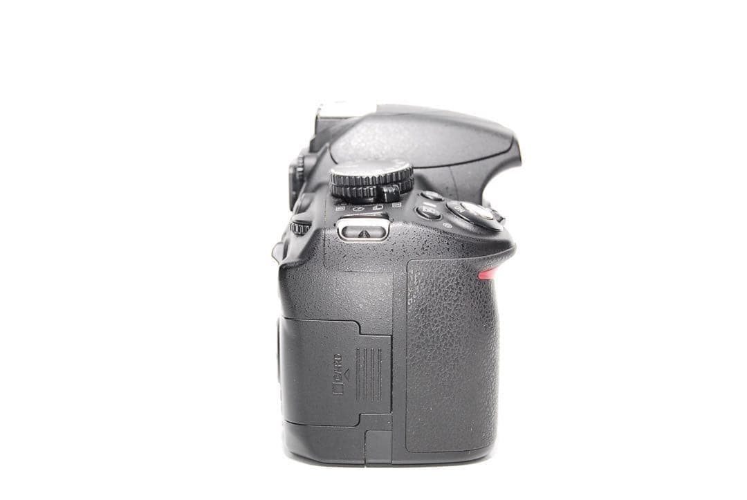 ☘️手振れ補正☘️Nikon D3100 デジタル一眼レフ　初心者向け！美品！