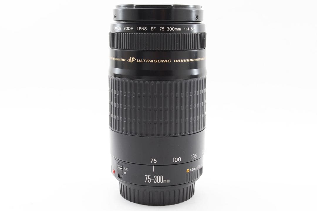 人気の望遠レンズ/デジタル一眼レフカメラ/Canon EF75-300㎜