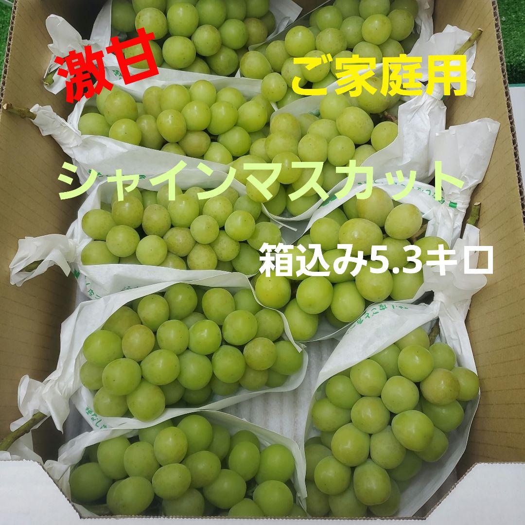 4️⃣ 山梨県産 シャインマスカット ９房入り 箱込み5.3キロ