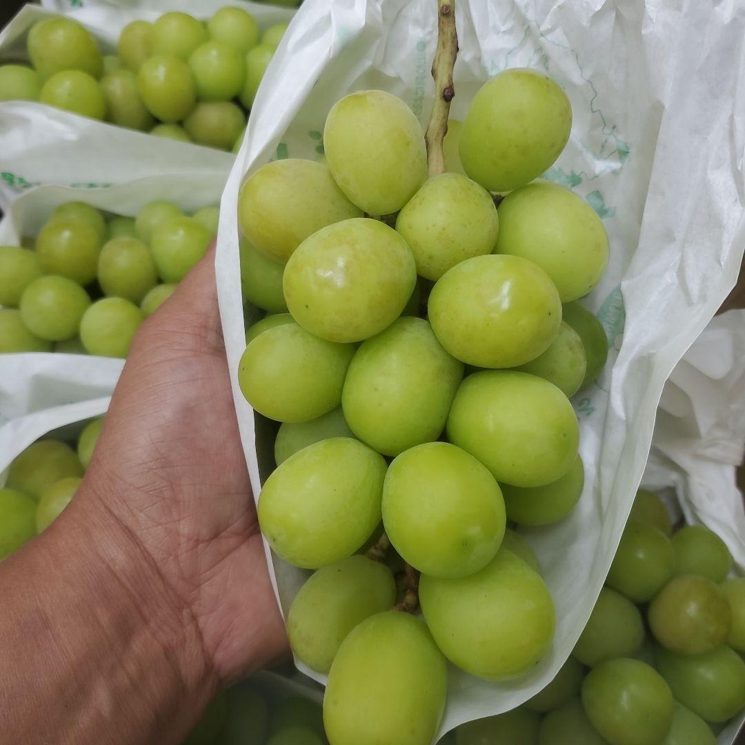 4️⃣ 山梨県産 シャインマスカット ９房入り 箱込み5.3キロ