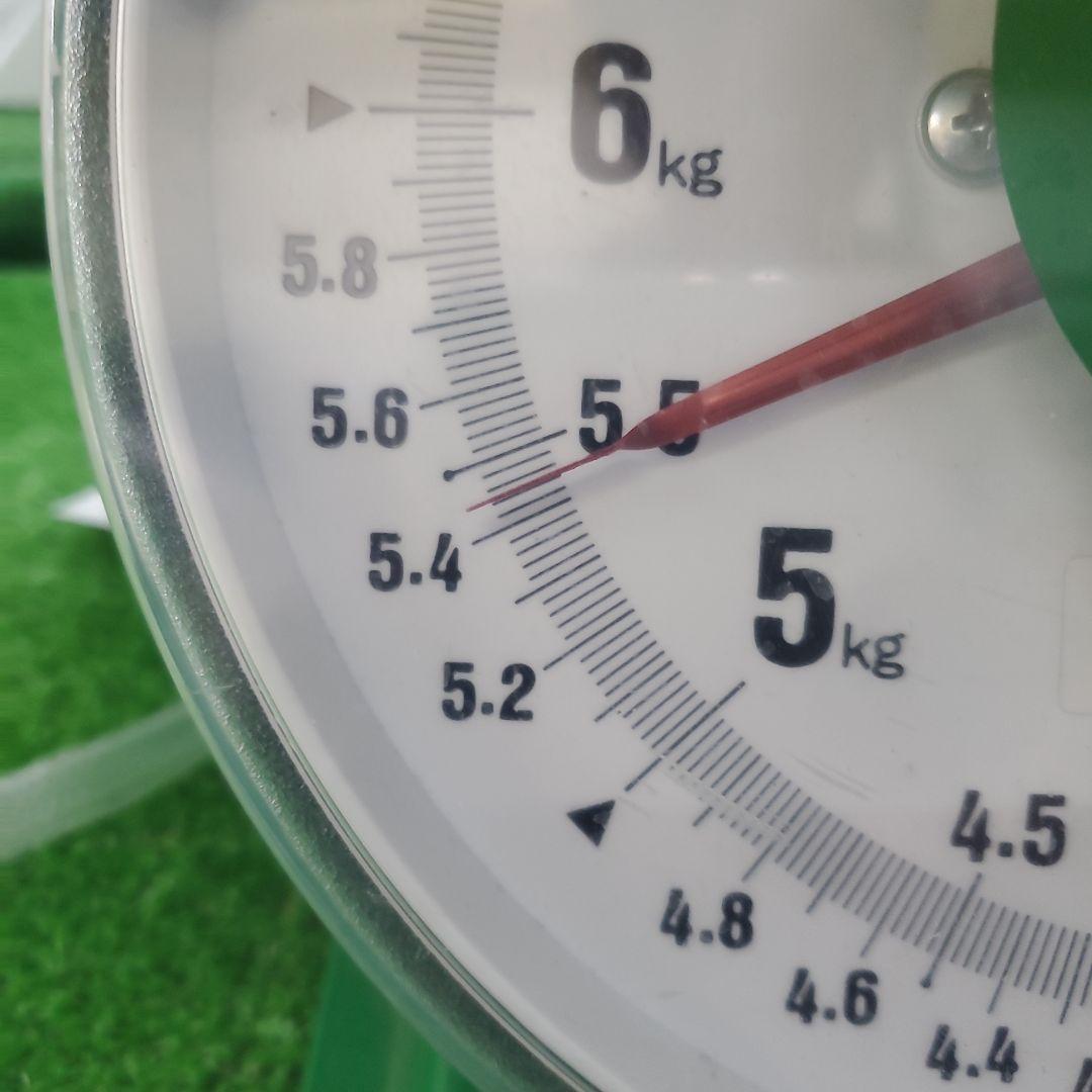 4️⃣ 山梨県産 シャインマスカット ９房入り 箱込み5.3キロ