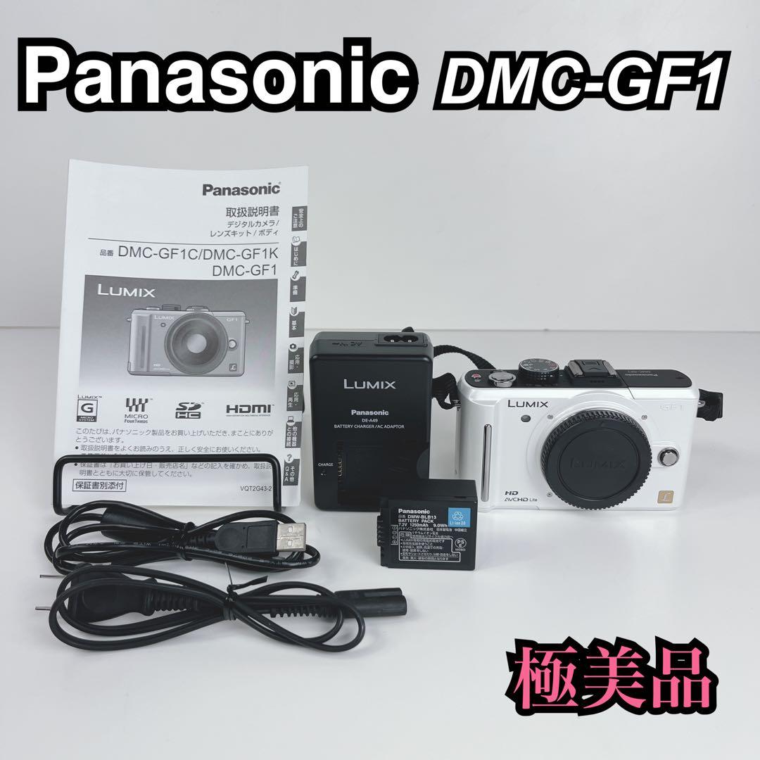 Panasonic DMC-GF1 ミラーレスカメラ本体 バッテリーチャージャ付