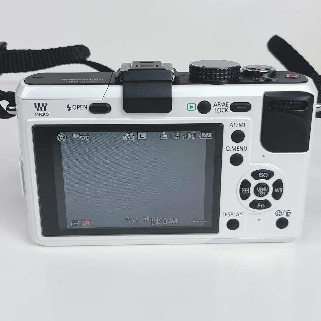 Panasonic DMC-GF1 ミラーレスカメラ本体 バッテリーチャージャ付