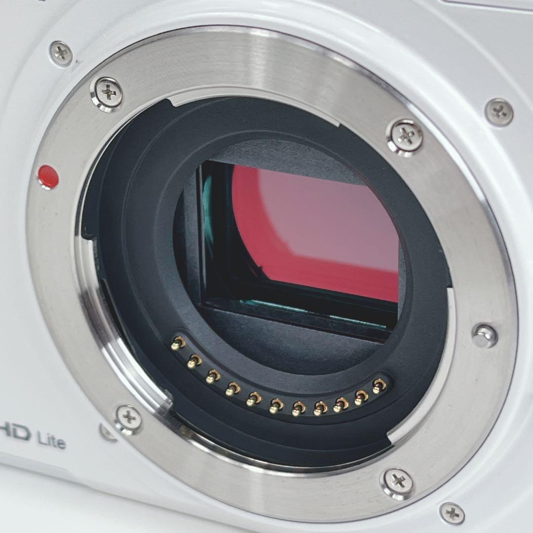 Panasonic DMC-GF1 ミラーレスカメラ本体 バッテリーチャージャ付